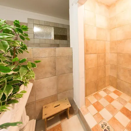 ホテル Alpin Life 3*